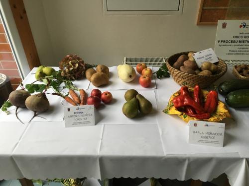 Výstava ovoce a zeleniny 8.-9.. 10. 2016